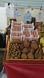 میوه و تره بارشیخ صندوق