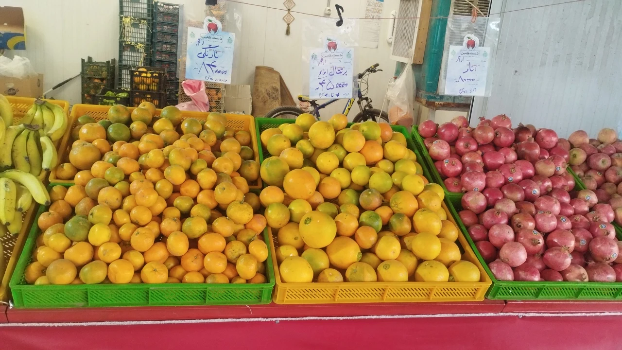 میوه و تره بارشیخ صندوق - تصویر 3