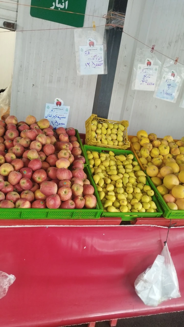 میوه و تره بارشیخ صندوق - تصویر 4