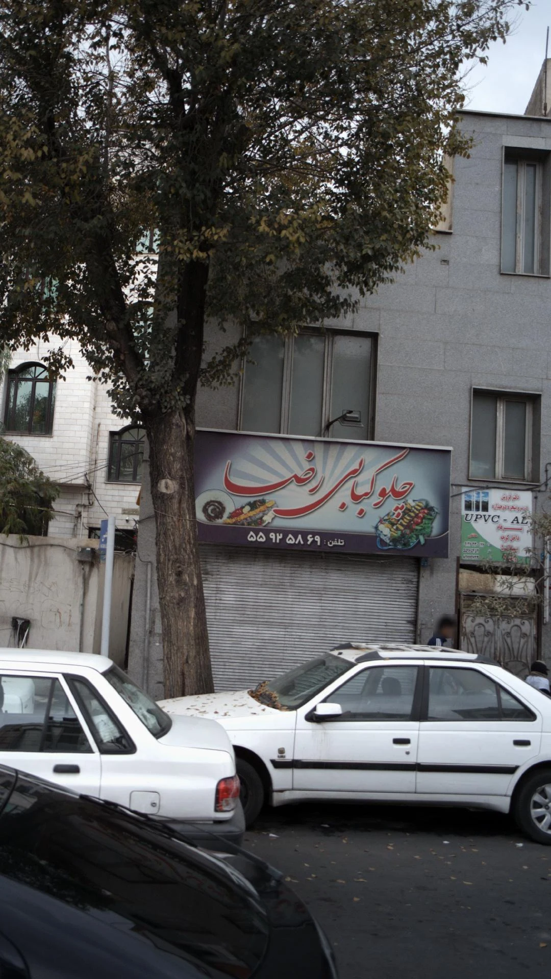 کباب ساطوری تک بناب اسماعیلی - کبابی و چلوکبابی در تهران - تصویر 3