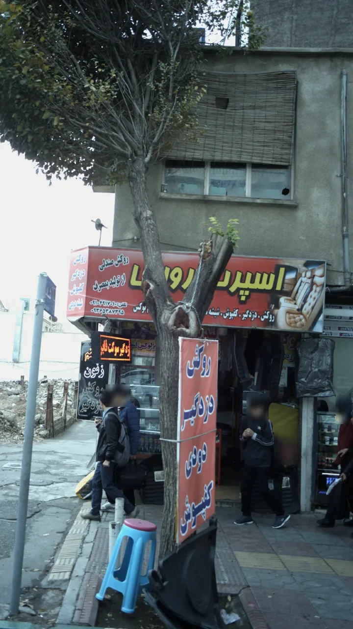 اسپرت رویال - تصویر 6