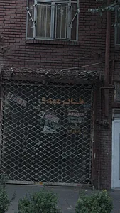 طایر مهدی