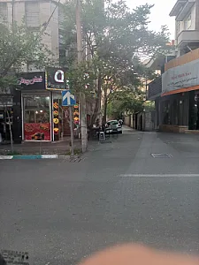 سیب پالاس