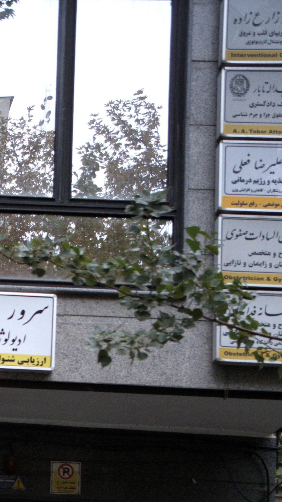 دکتر مسعود زارع زاده - تصویر 3