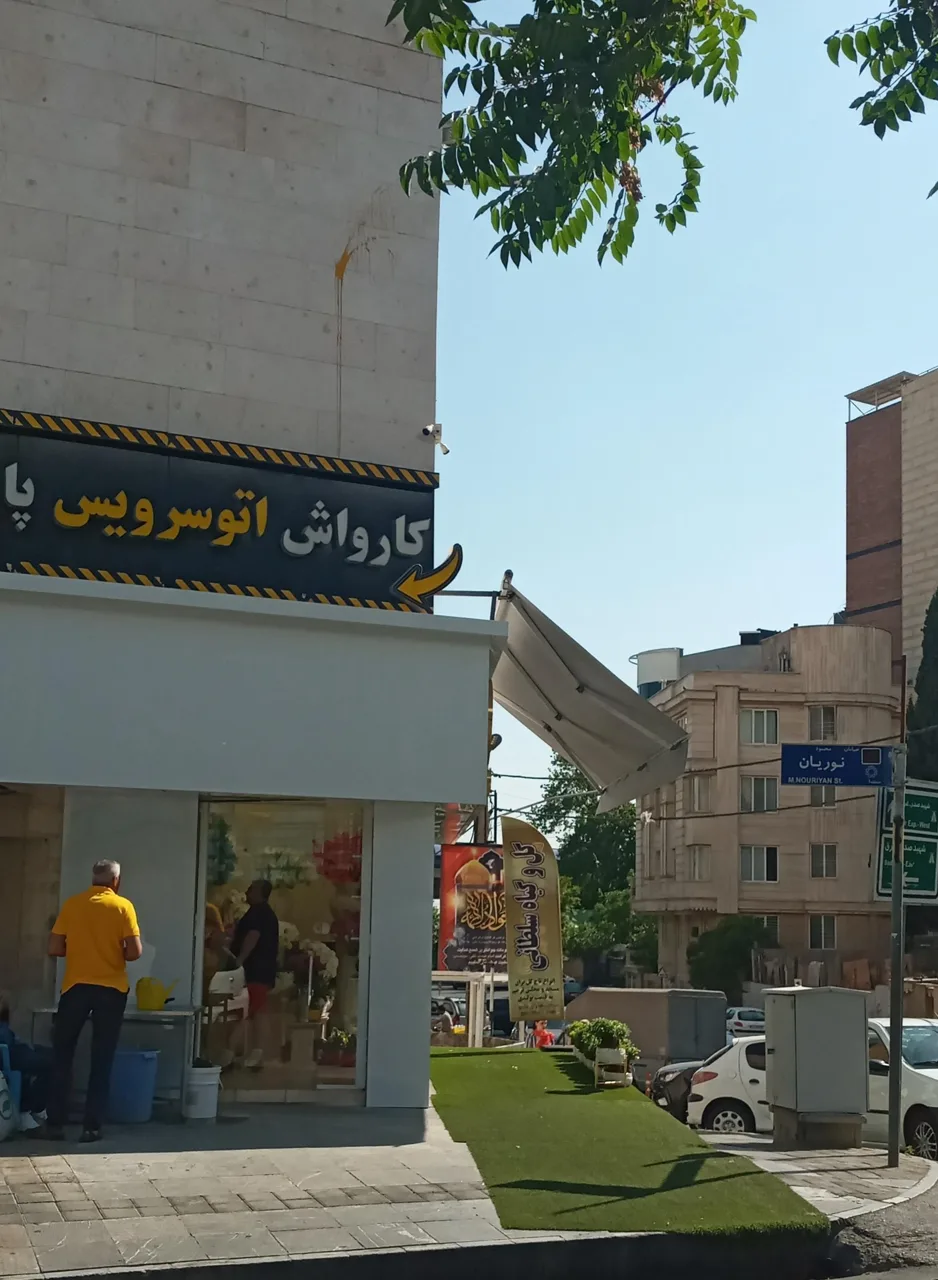 کارواش زمرد - تصویر 2