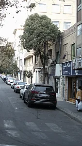 تکنو راه ساز