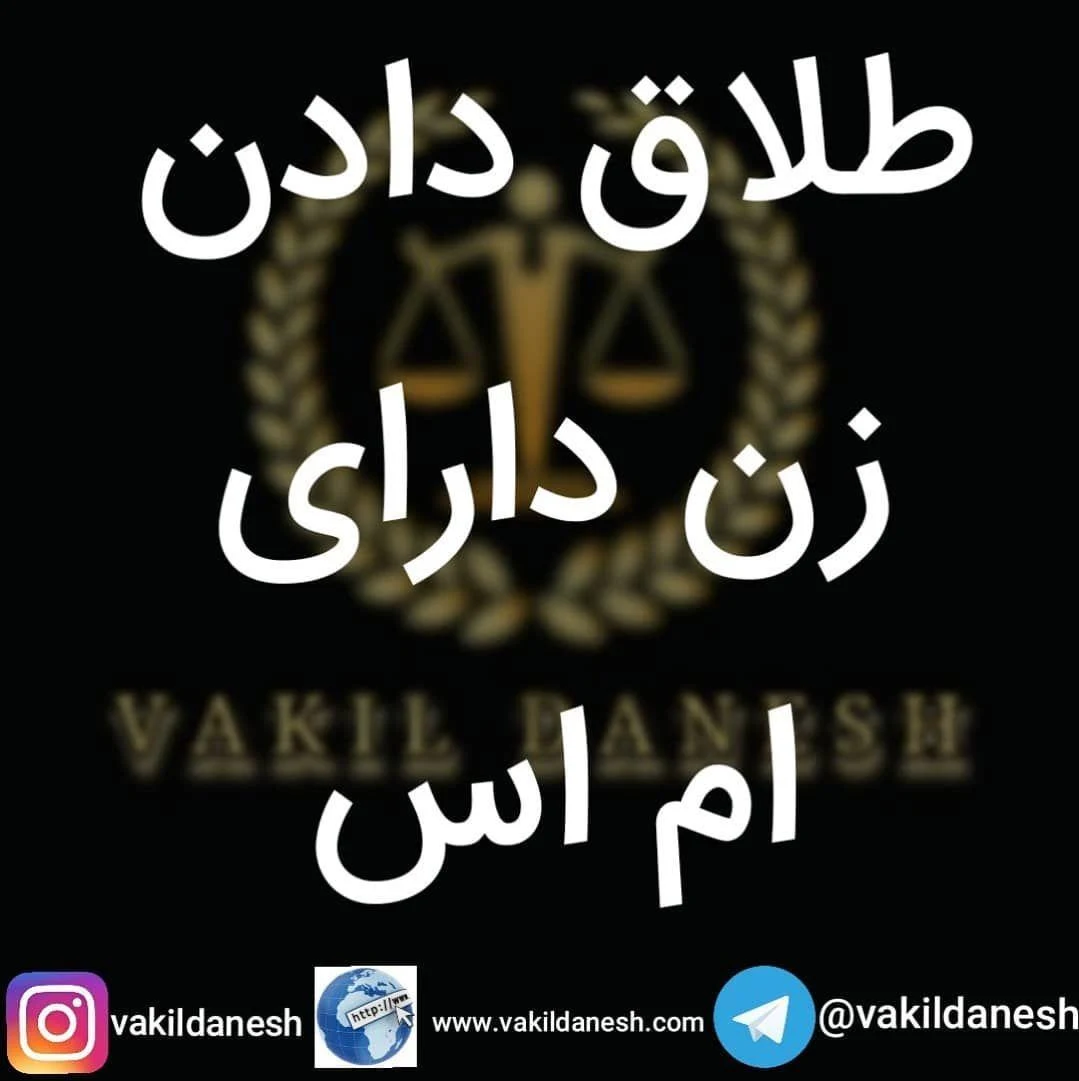 وکیل پایه یک دادگستری علی ابراهیم زاده - تصویر 4