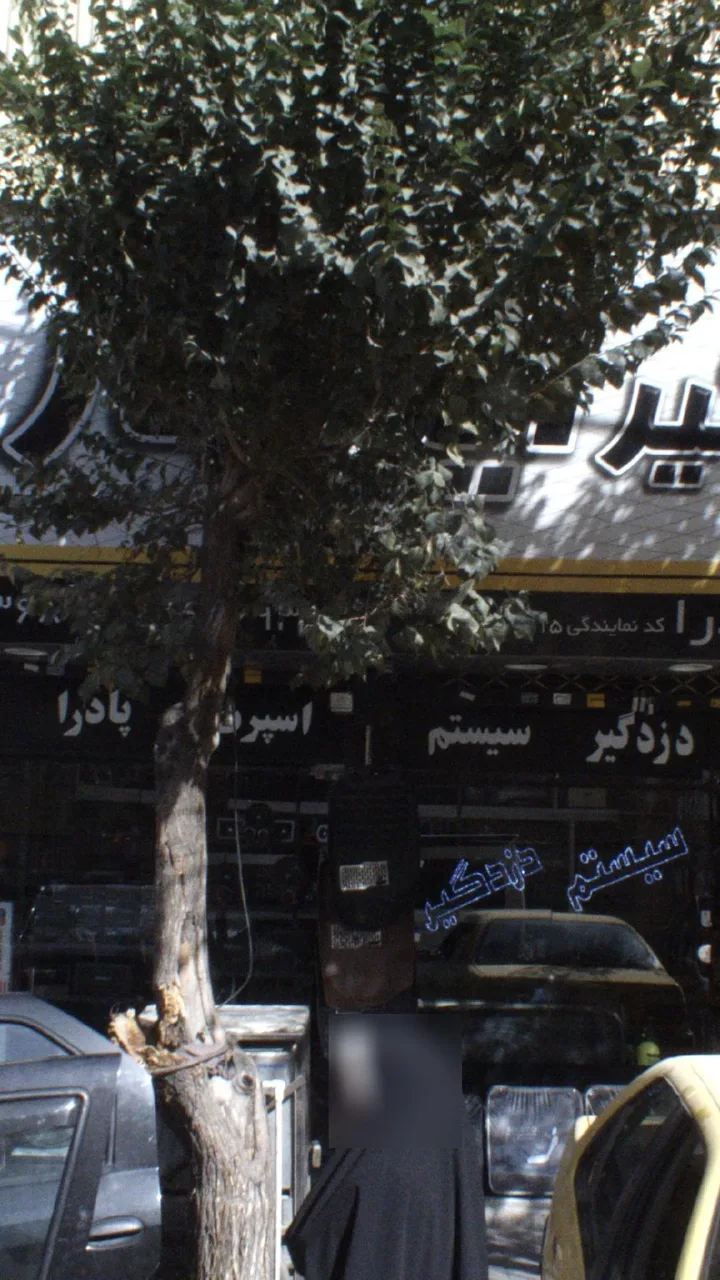 دزدگیر
