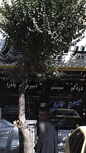 دزدگیر