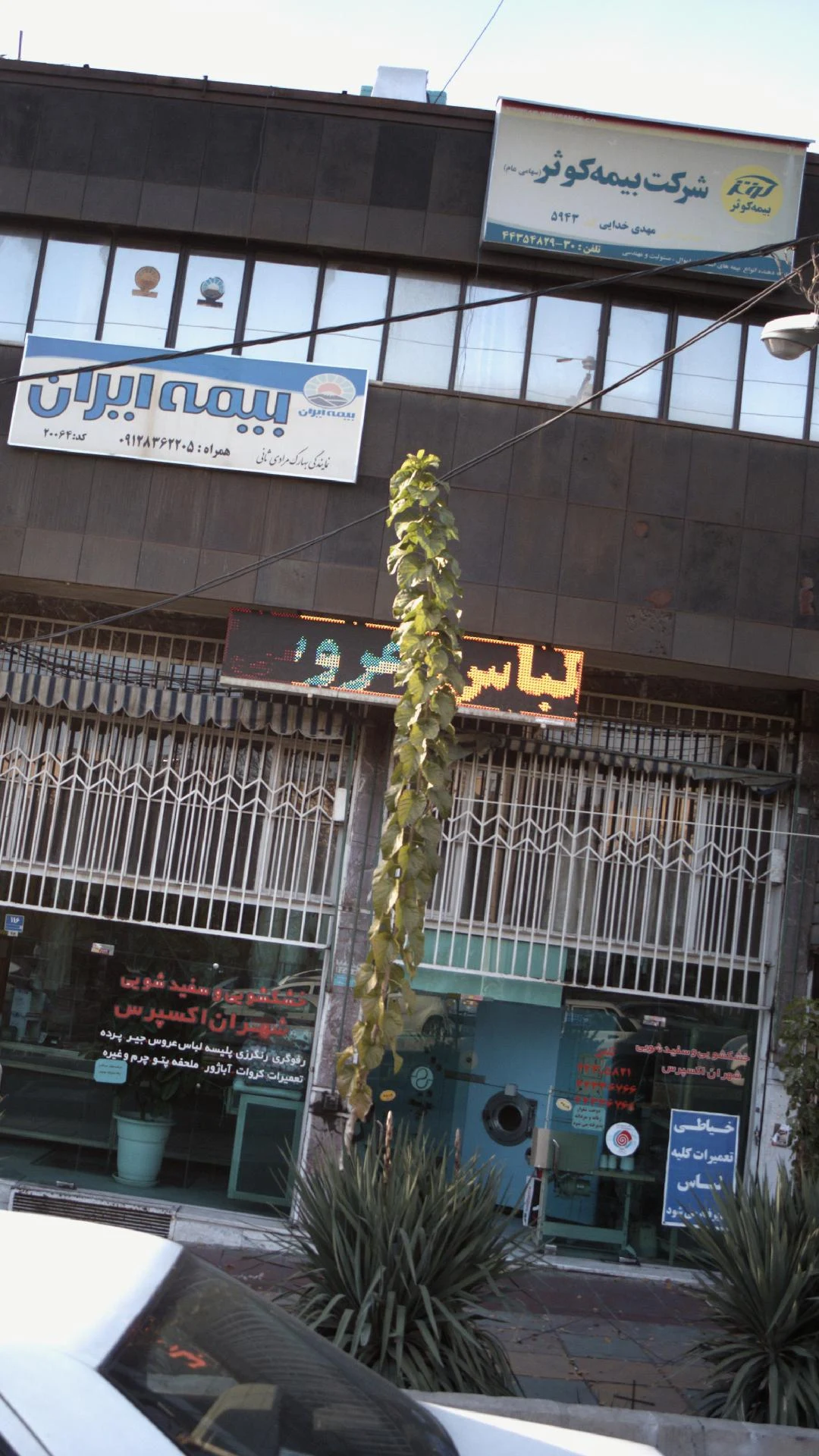 خشکشویی وسفیدشویی شهران اکسپرس - کارواش و دیتیلینگ در تهران - تصویر 4