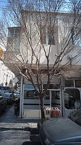 پیرایش مردانه عالیجناب