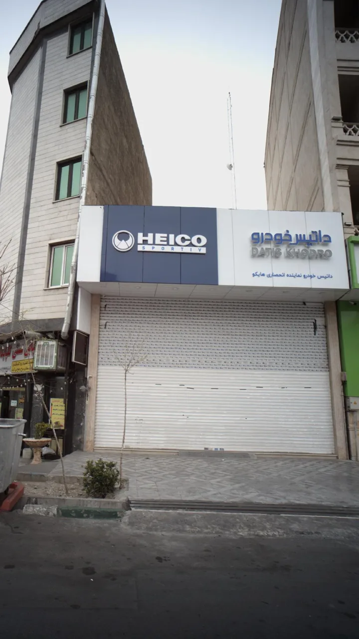 داتیس خودرو - تصویر 4