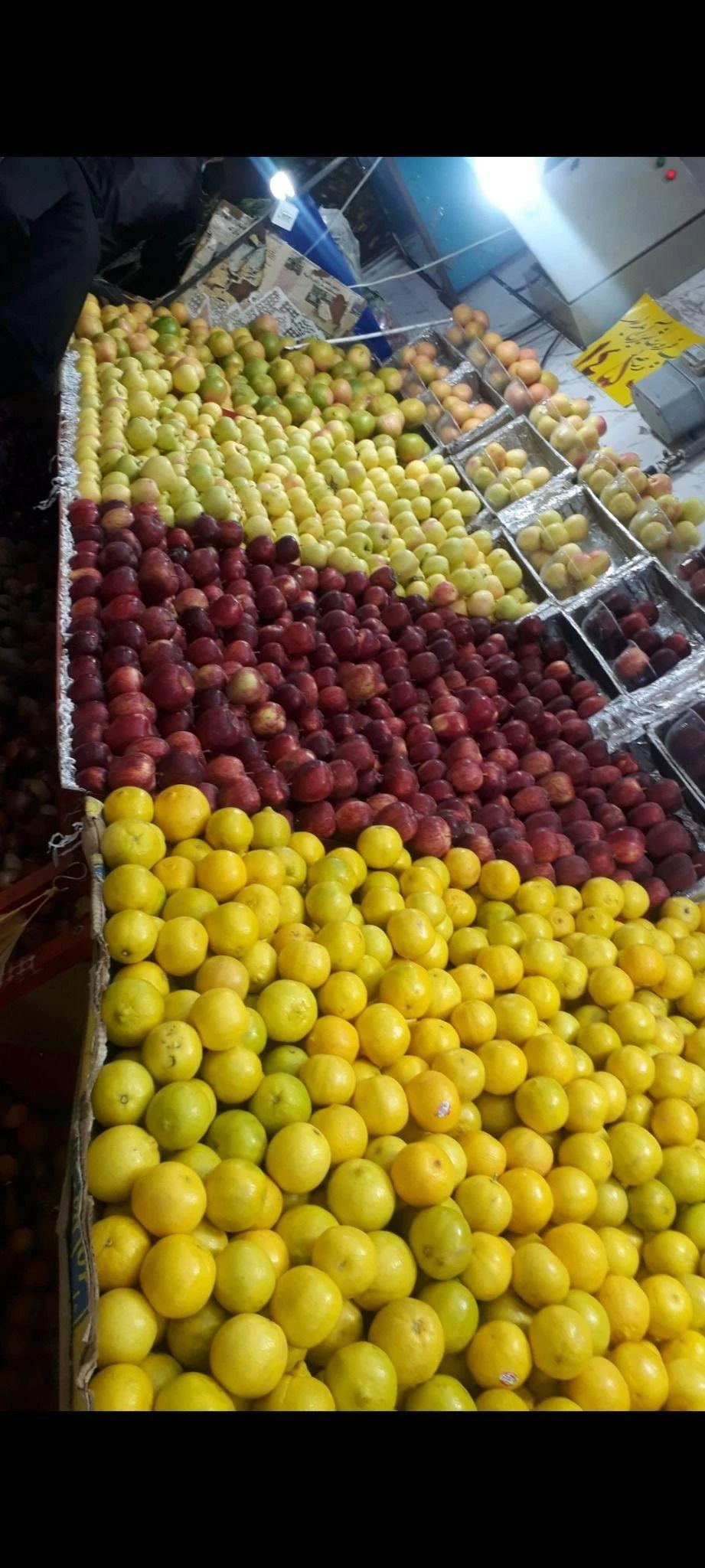 استار میوه خاورمیانه - تصویر 2