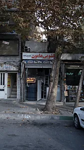خشکشویی هامون