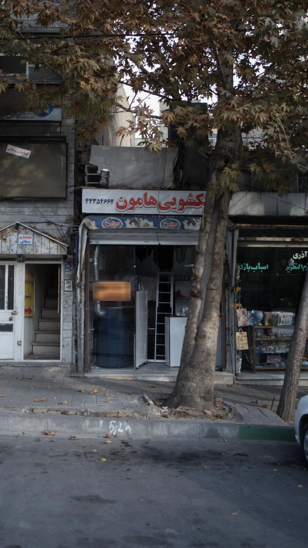 خشکشویی هامون - کارواش و دیتیلینگ در تهران - تصویر 2