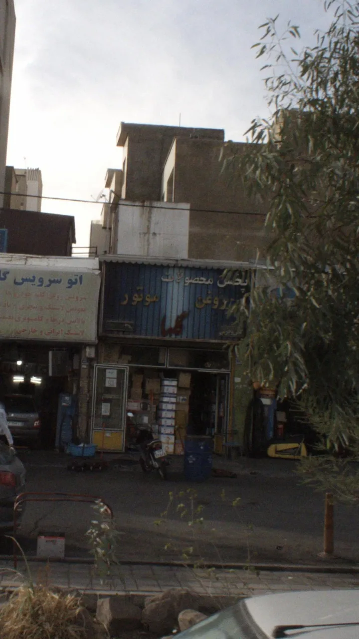 پخش محصولات گلها