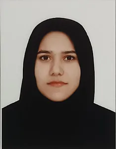 مشاور خدمات برنامه‌ریزی وتوسعه شهرهوشمند
