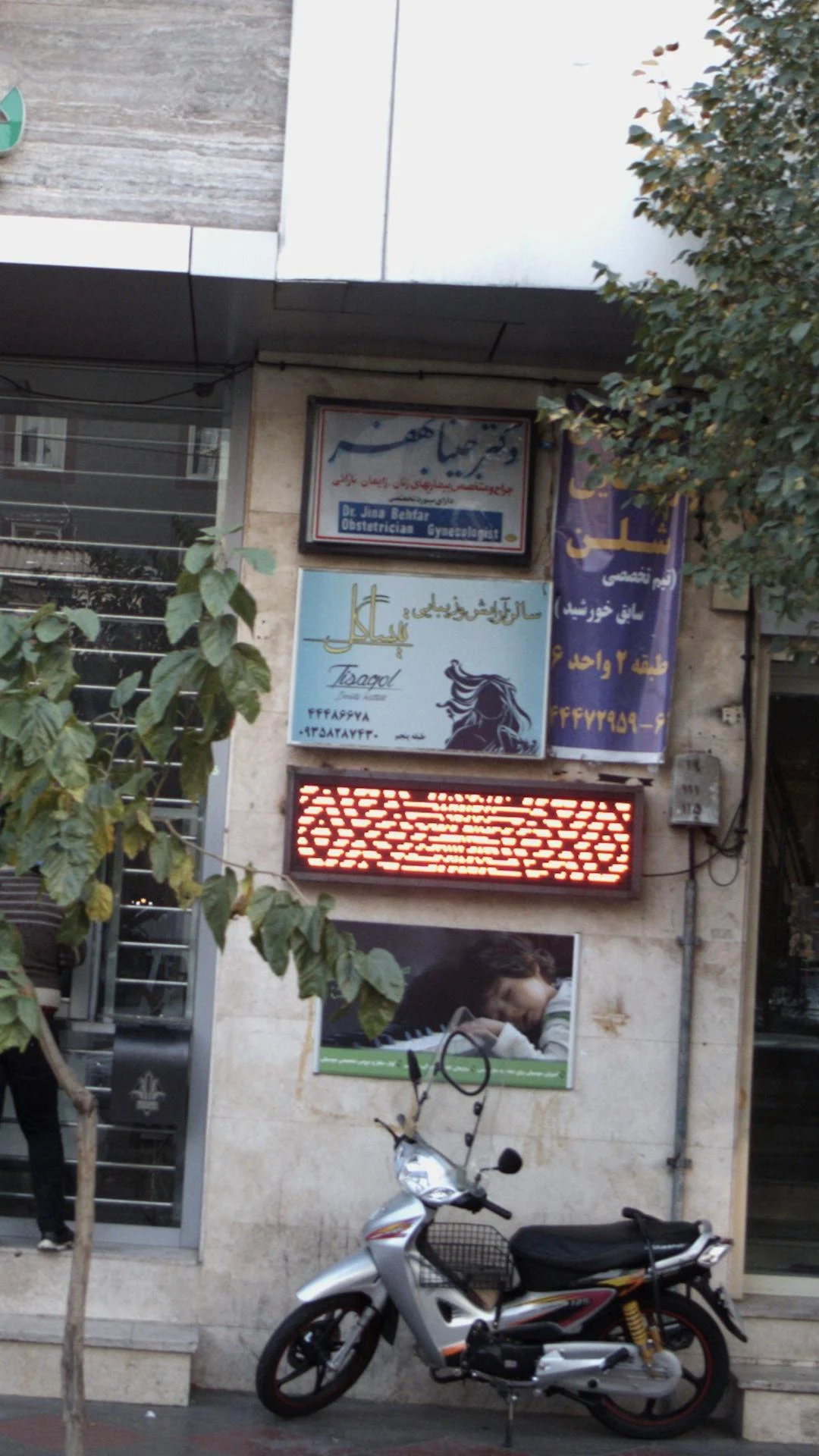 زیبایی شلن - تصویر 2