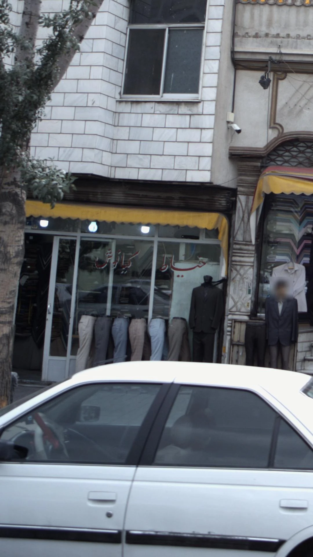 دوزندگی ارکیده - تصویر 2