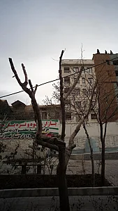 فروش میوه و تره بار ایثار