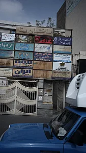 مهوش دانایی