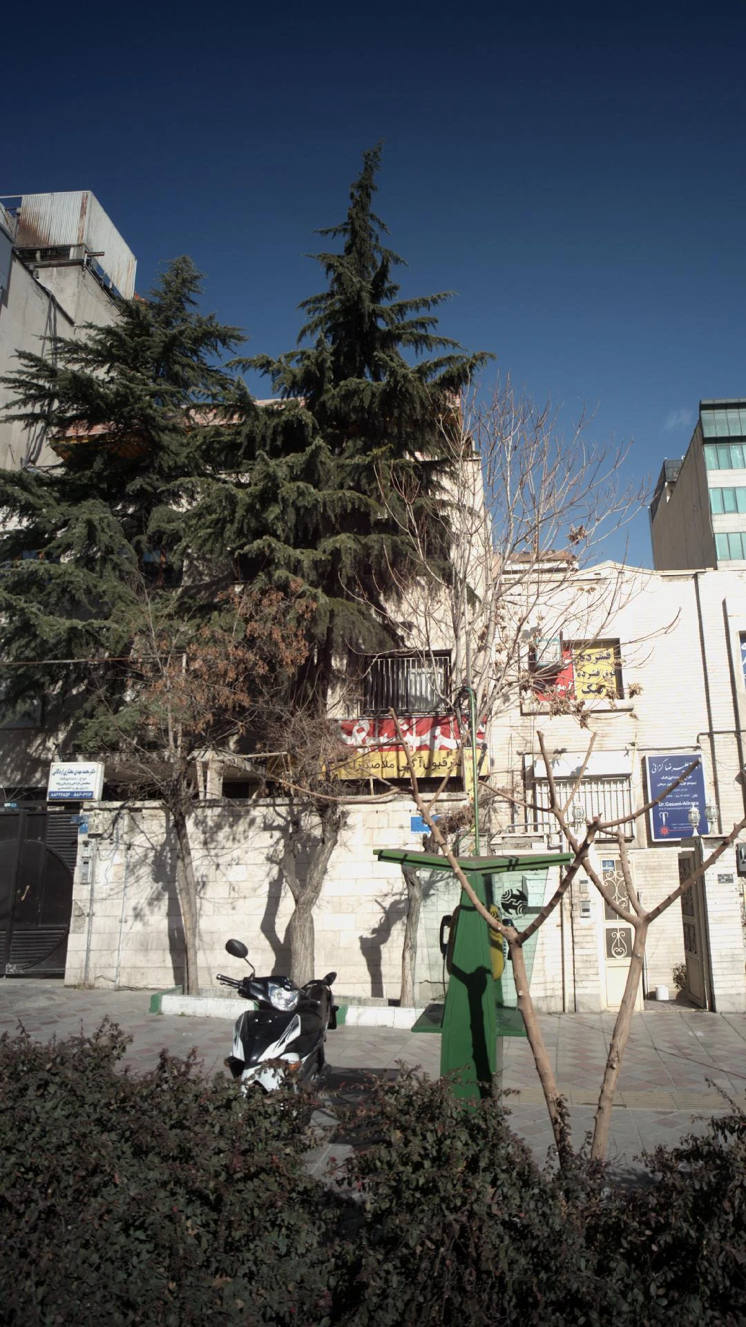 دکتر محسن رجایی نژاد
