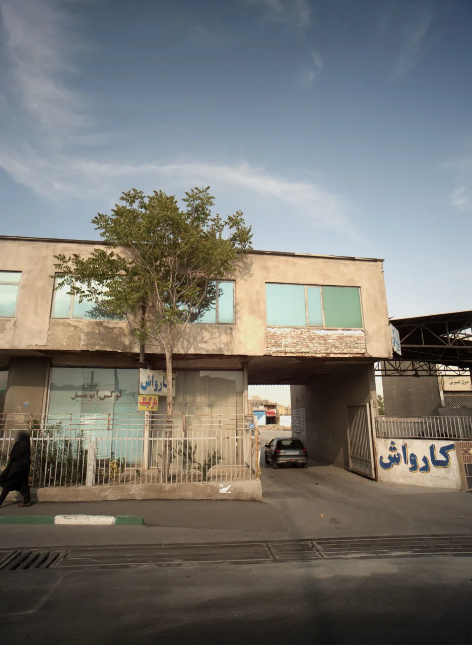 دیزل گسترش