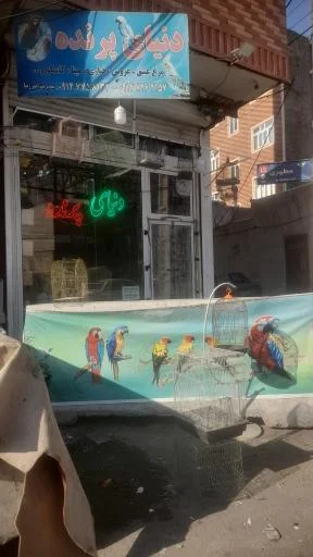 پرنده سرای دنیای پرنده - حیوانات خانگی در تبریز