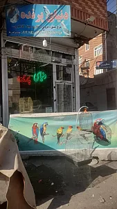 پرنده سرای دنیای پرنده