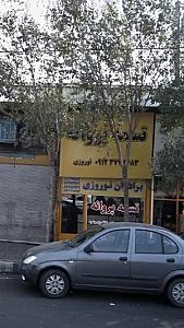 تسمه پروانه