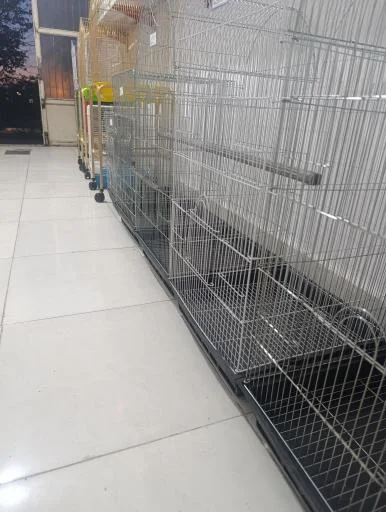 پت شاپ استار