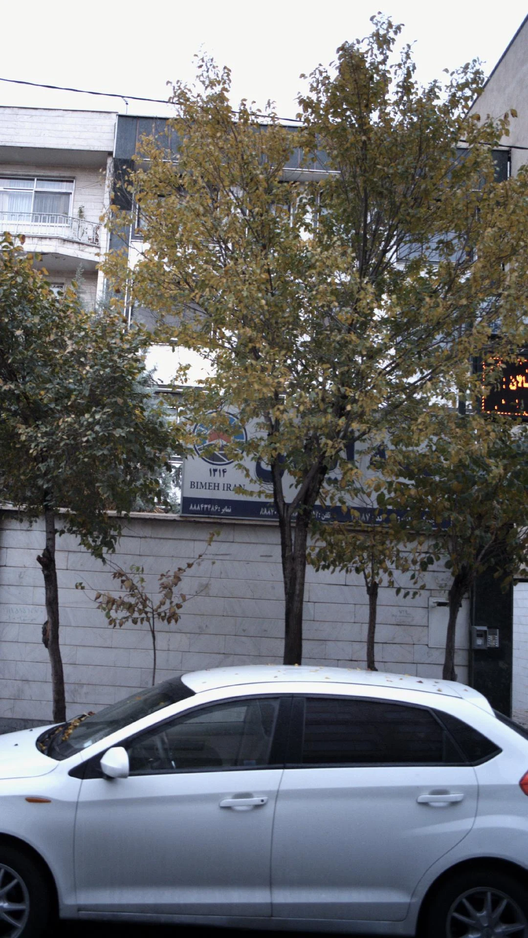 بیمه ایران نمایندگی یحیی پور - بیمه در تهران