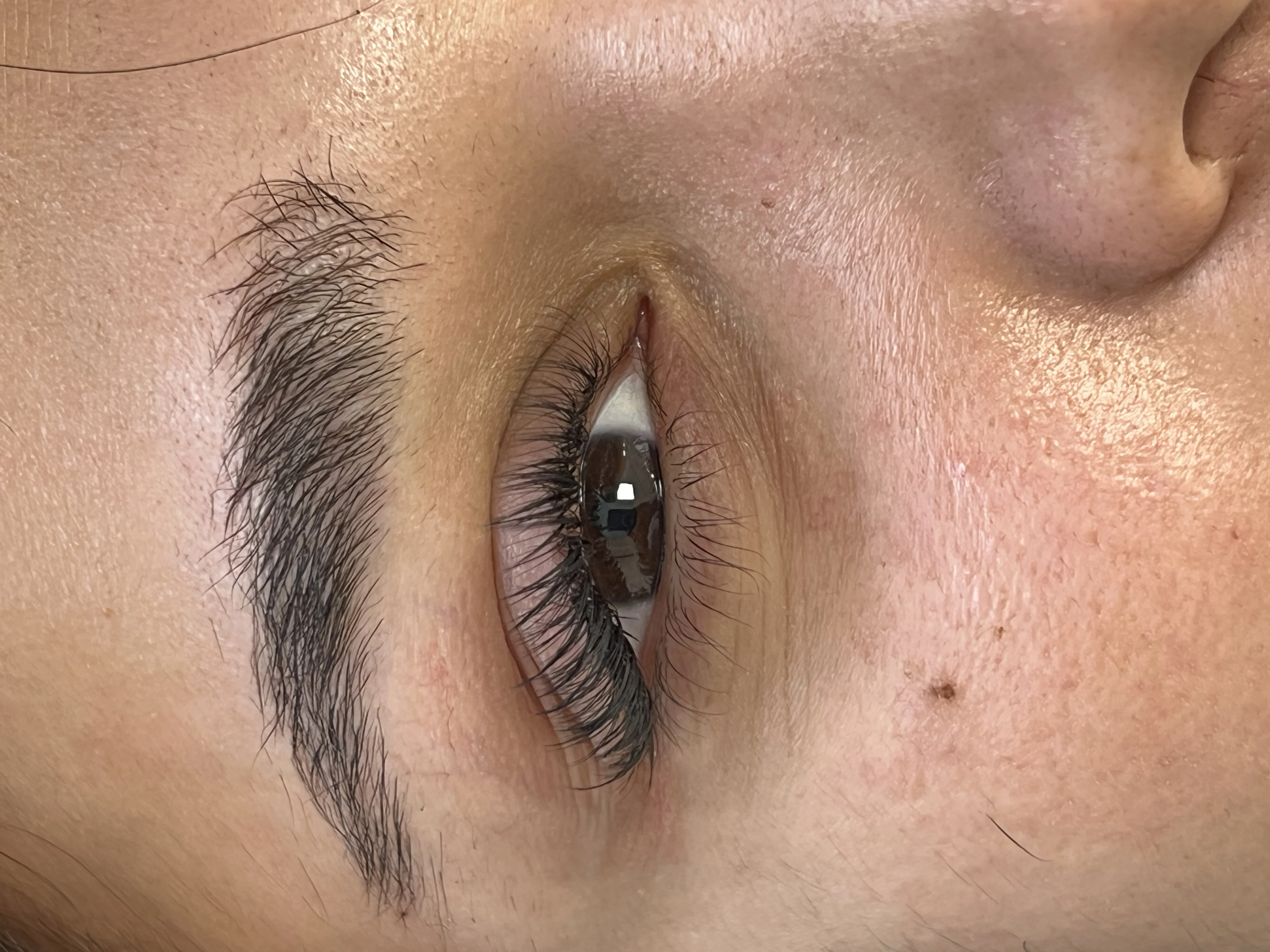خدمات تخصصی اکستنشن مژه لیلی - آرایشگاه زنانه در تهران - تصویر 4