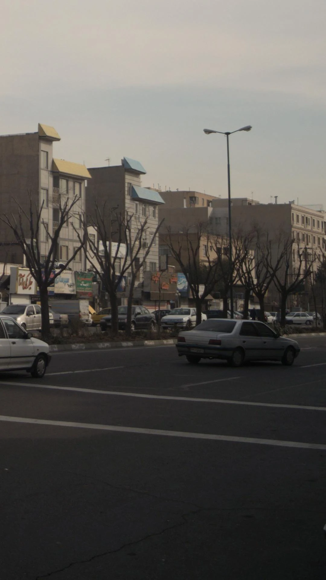 بستنی نعمت شعبه بلوار نیلوفر