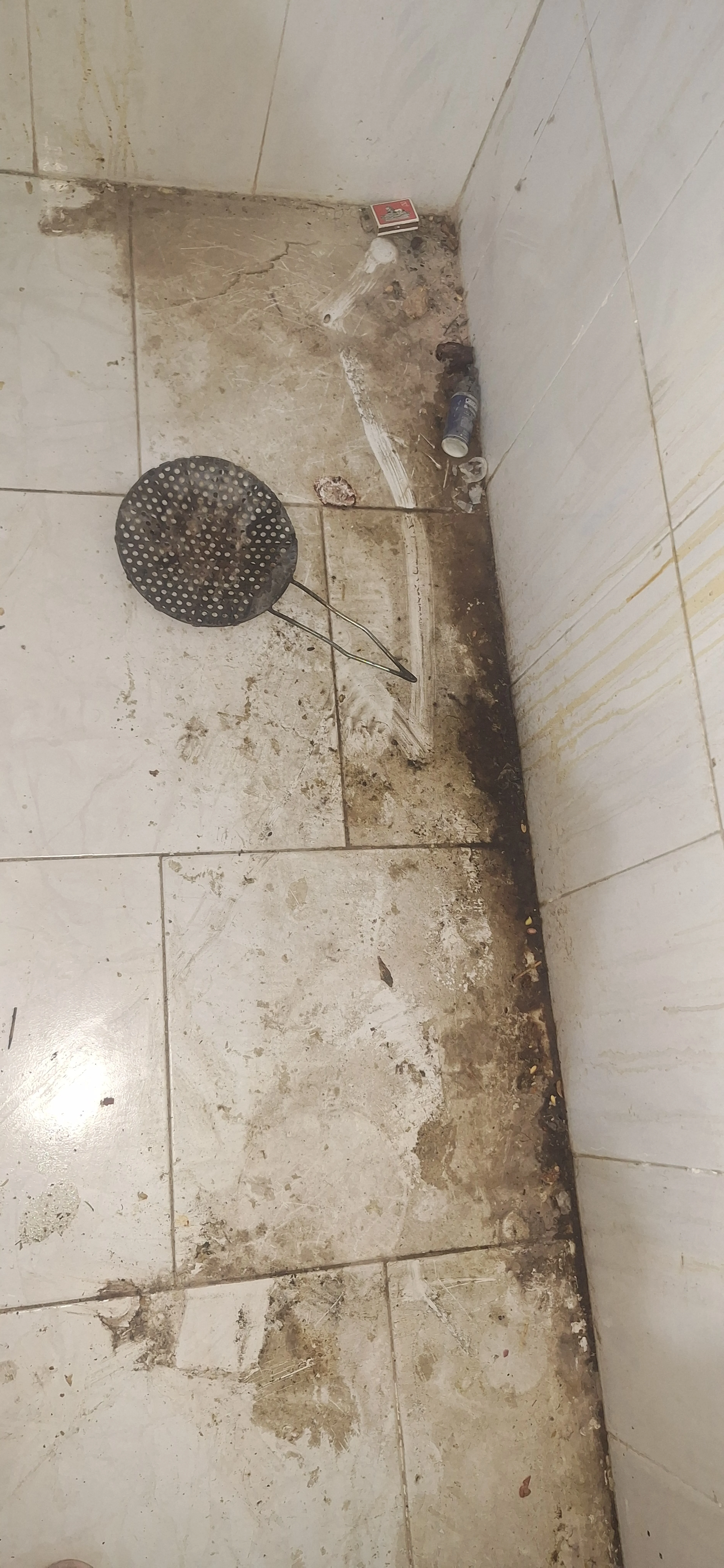 خدماتی و نظافتی فرجی
