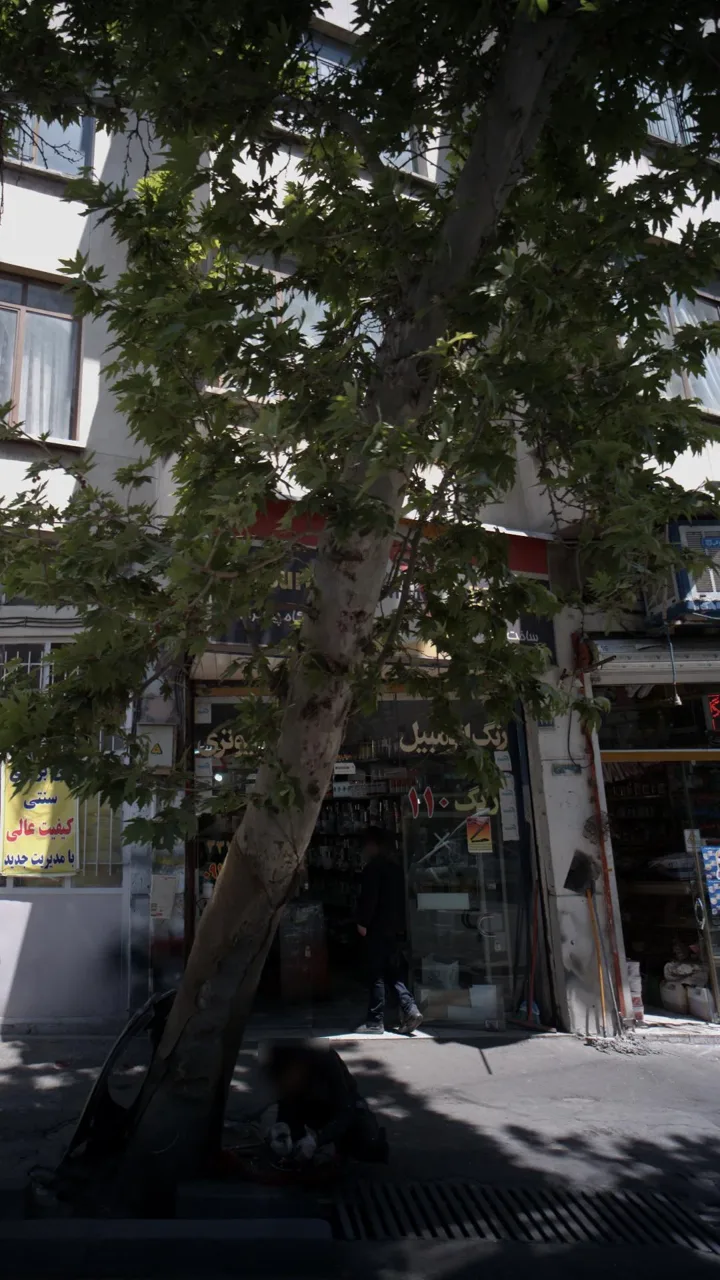 رنگ 110 - تصویر 2