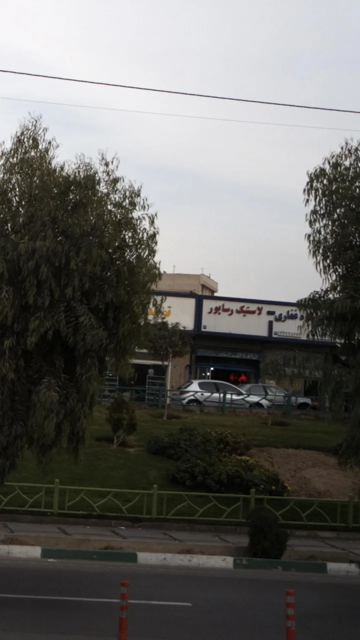 لاستیک علی رساپور
