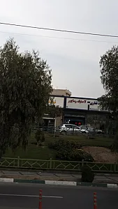 لاستیک علی رساپور