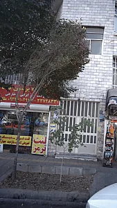 لوازم یدکی پرشین لنت