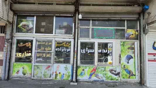 پرنده سرای قربان زاده