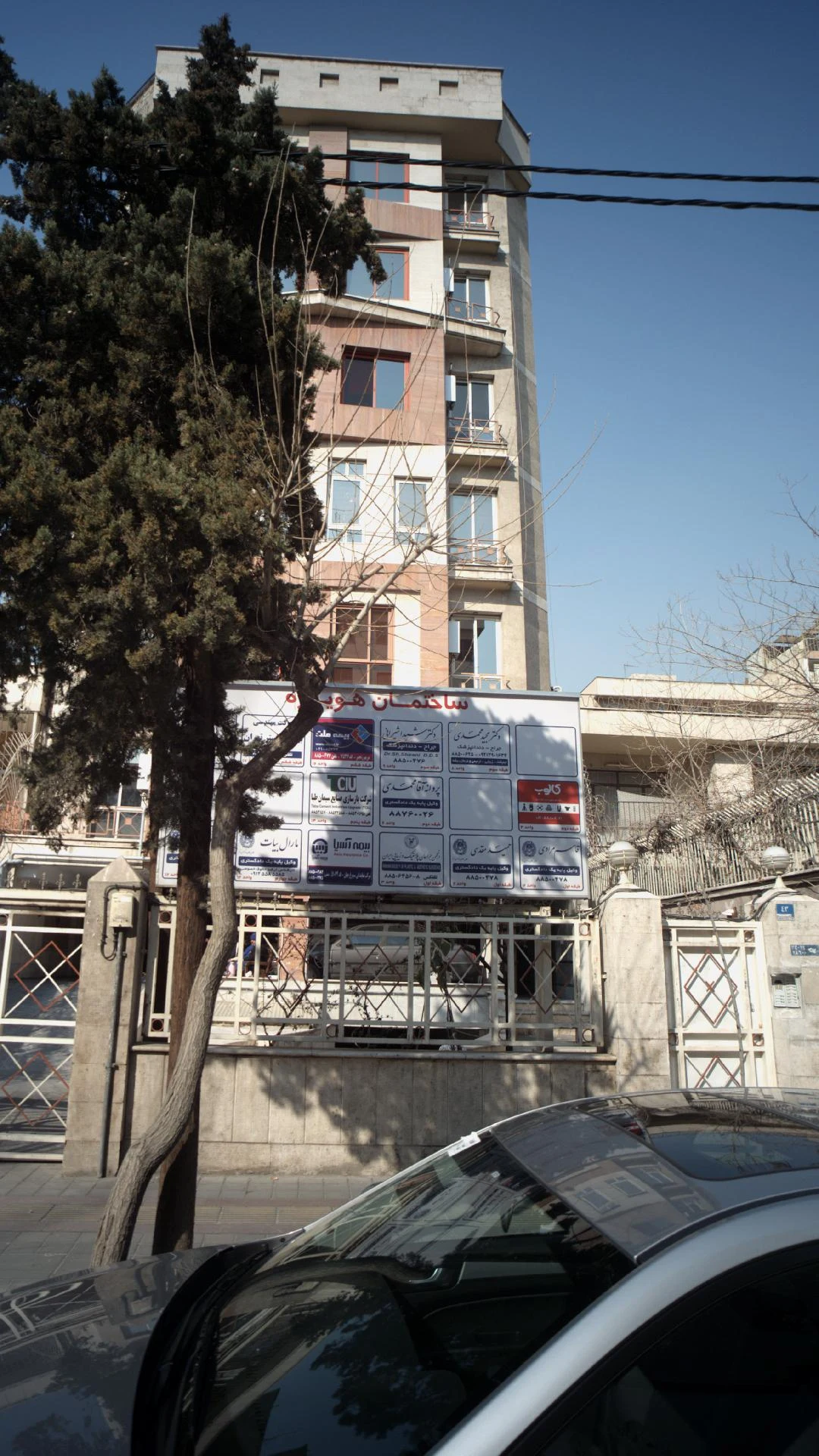 دکتر شیدا شیرانی