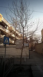 دکتر هما کاظمی نژاد