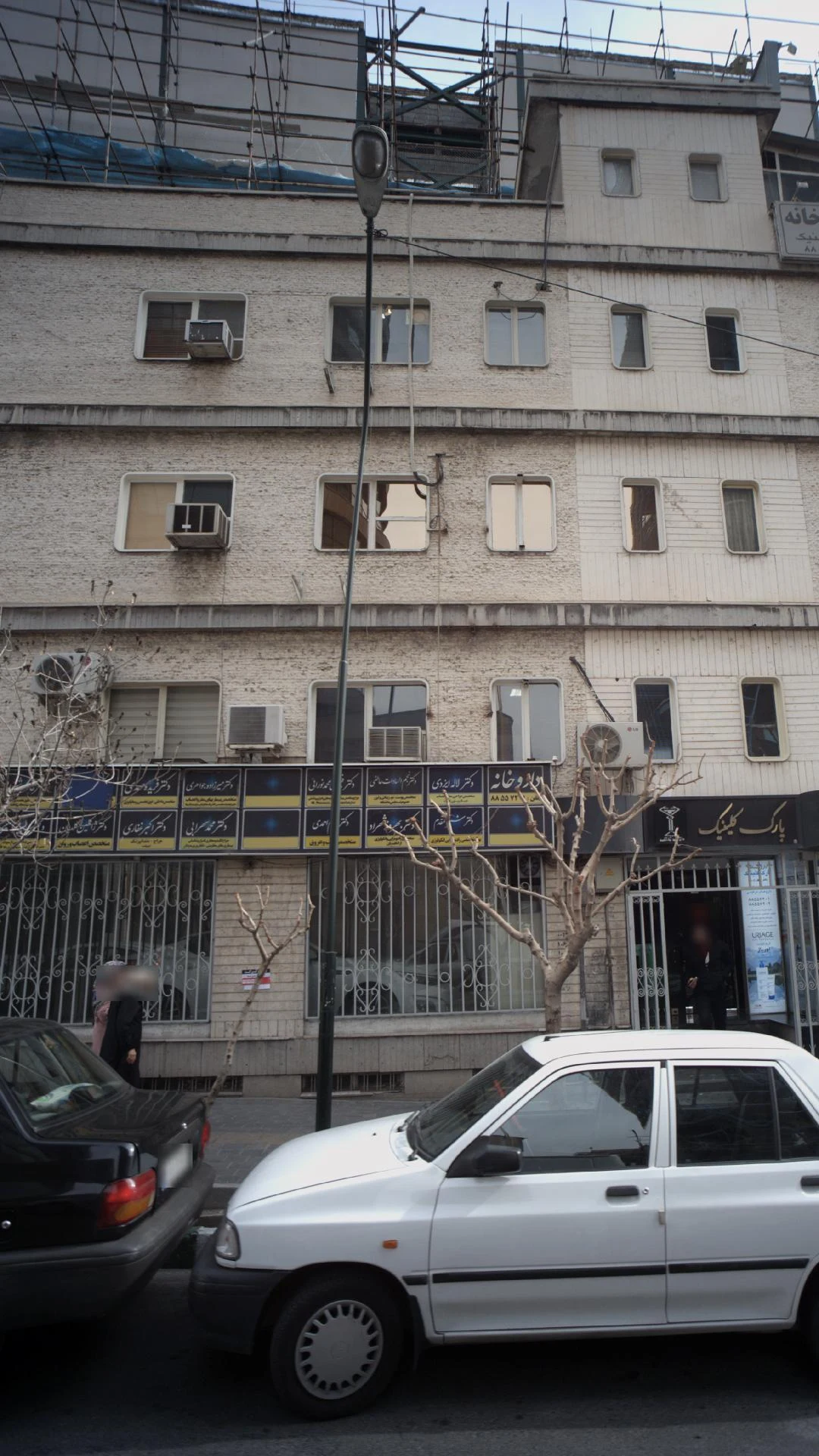 دکتر فاطمه شیرانی