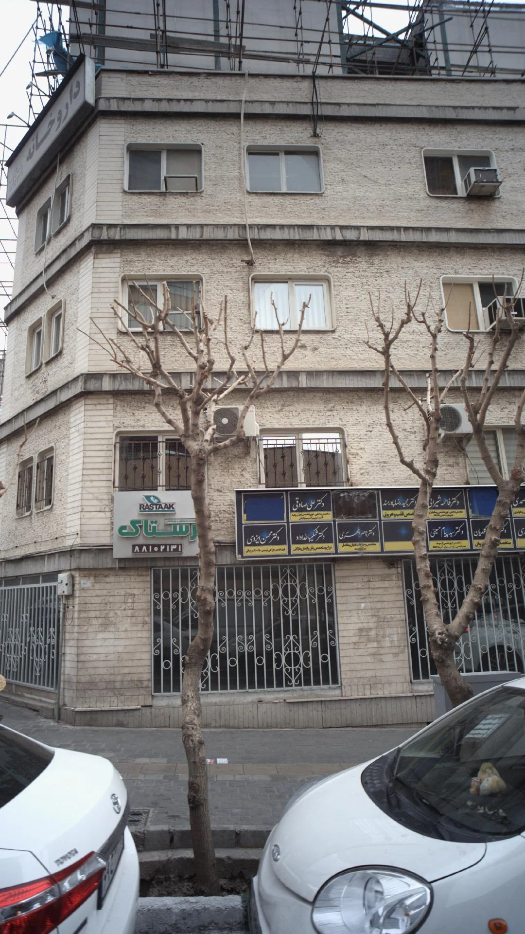 دکتر فاطمه شیرانی - تصویر 2