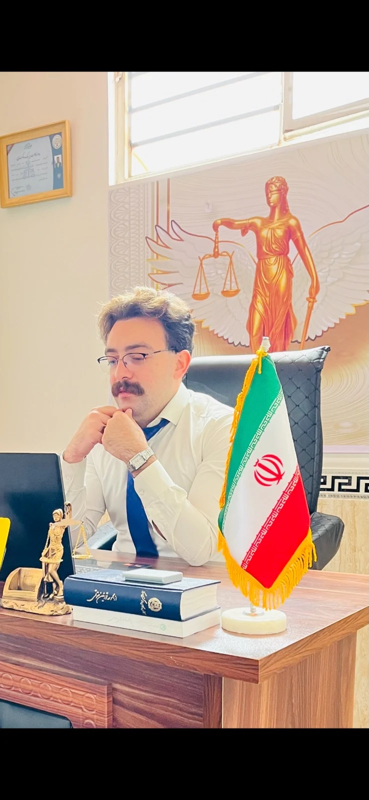 وکیل دادگستری رضا مددی - تصویر 2