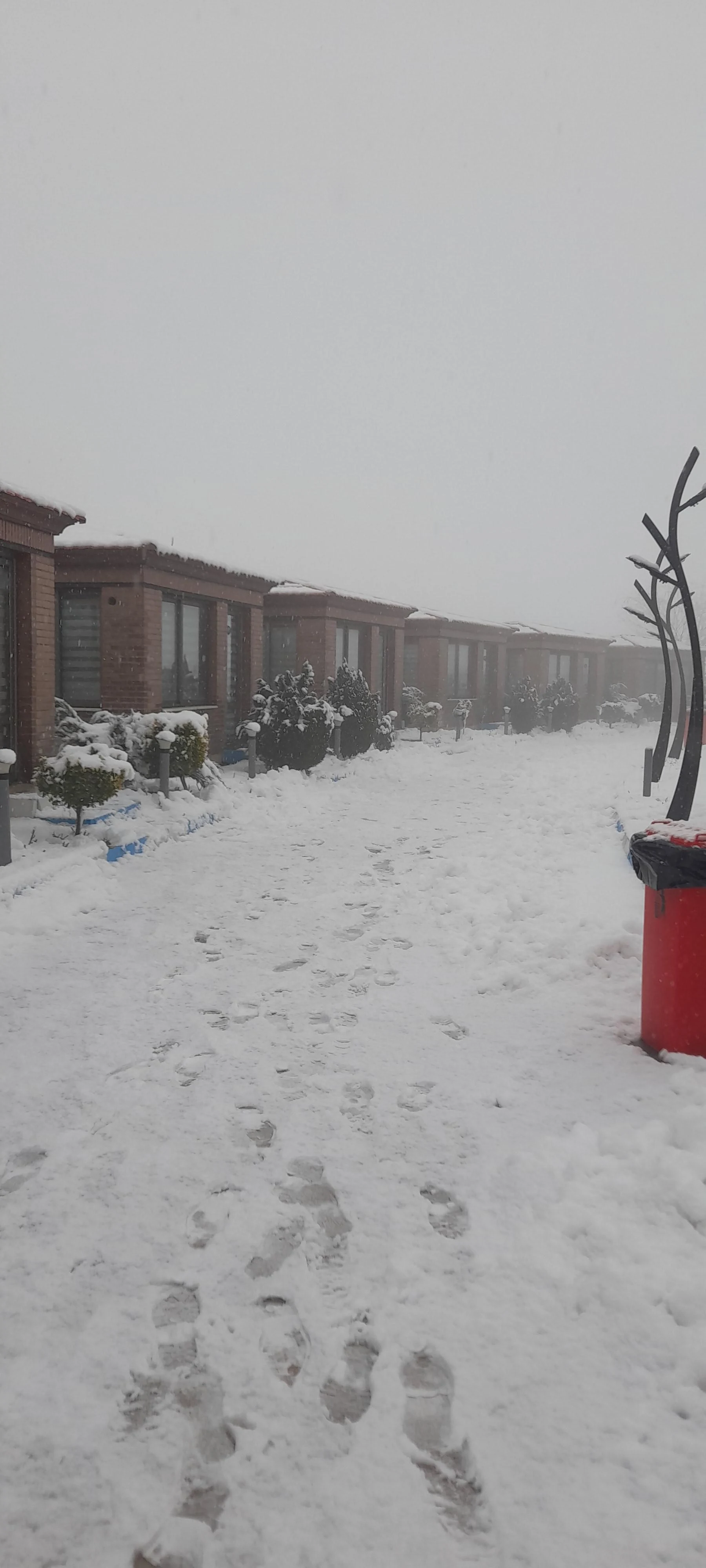 فست فود آوای راموز - برگر در تهران - تصویر 2