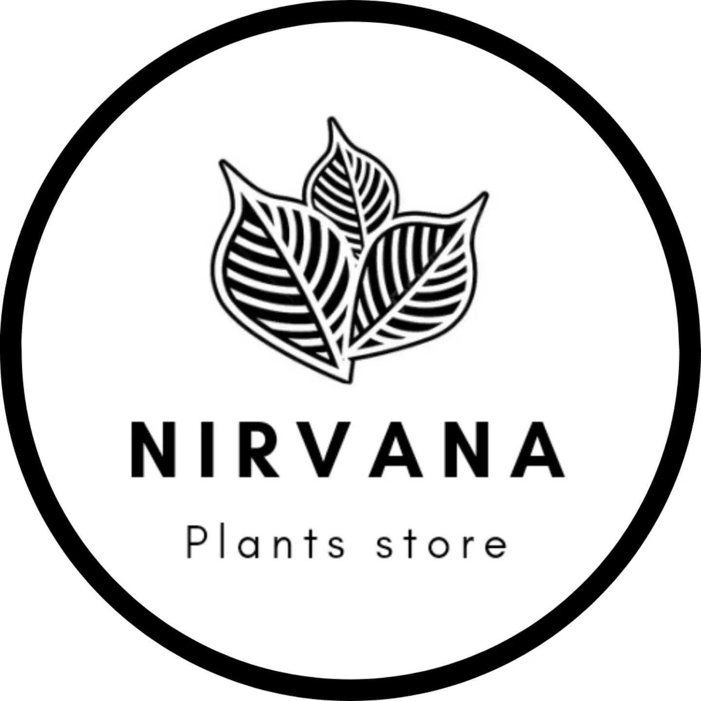 گل و گیاه نیروانا Nirvana Plant