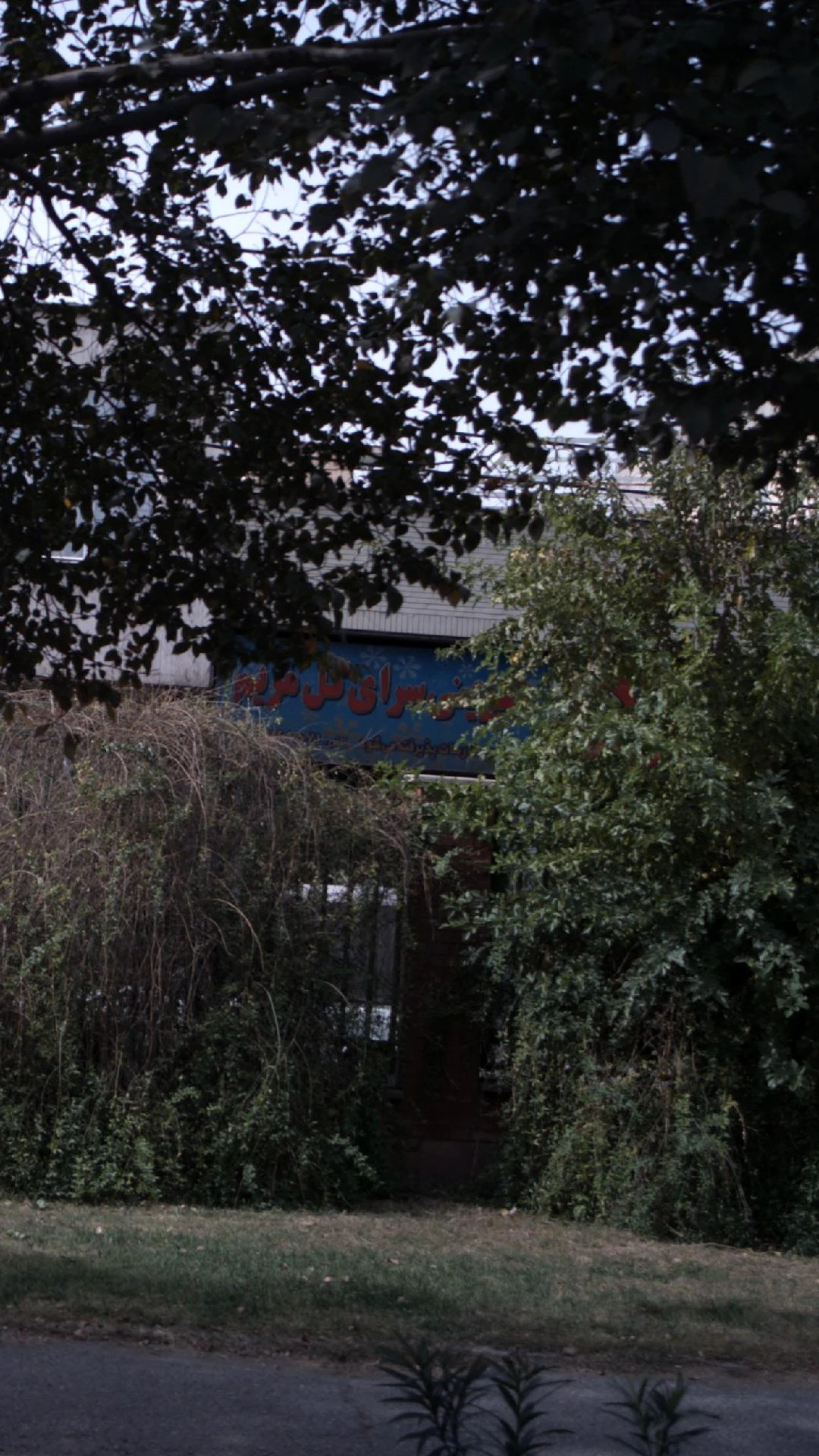 شیرینی سرای عسل