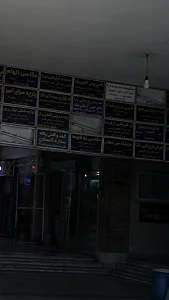 عکاسی دو قلوها