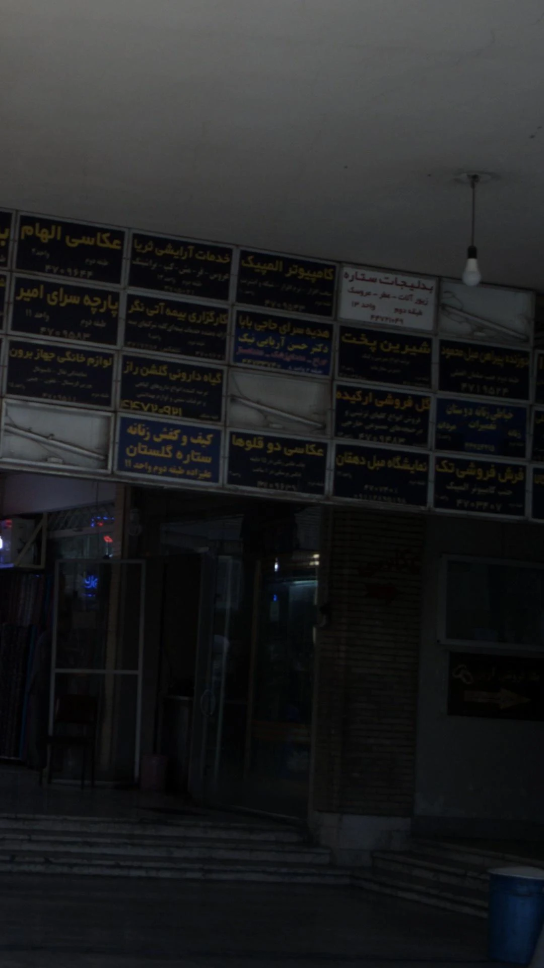 عکاسی دو قلوها
